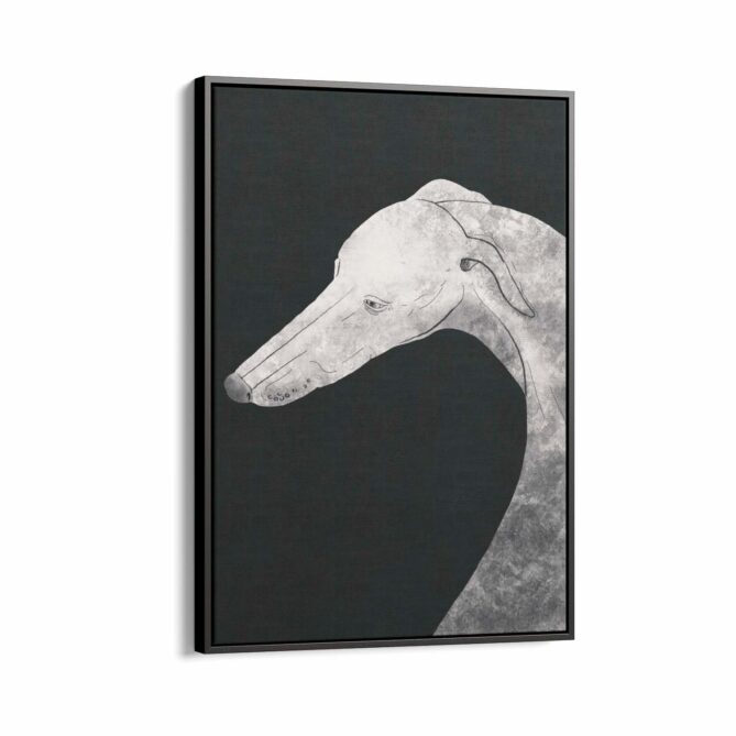 Greyhound Black and White